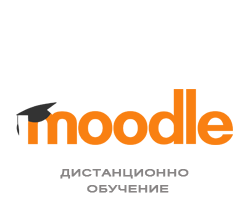 dmoodle black