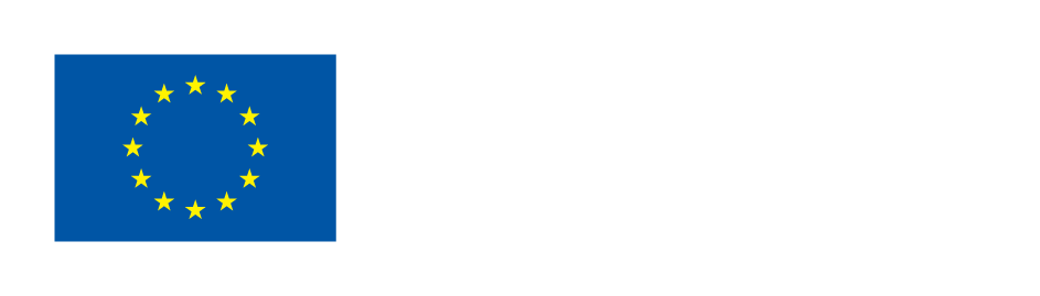 Erasmus plus w